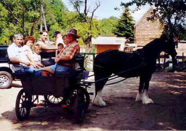 Lilli`s Family