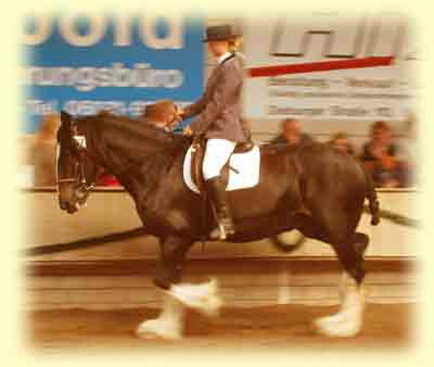 Pearl unterm Sattel 2004